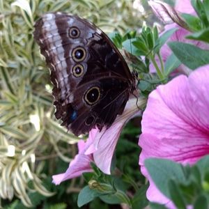 Meet your Posher, Cathy